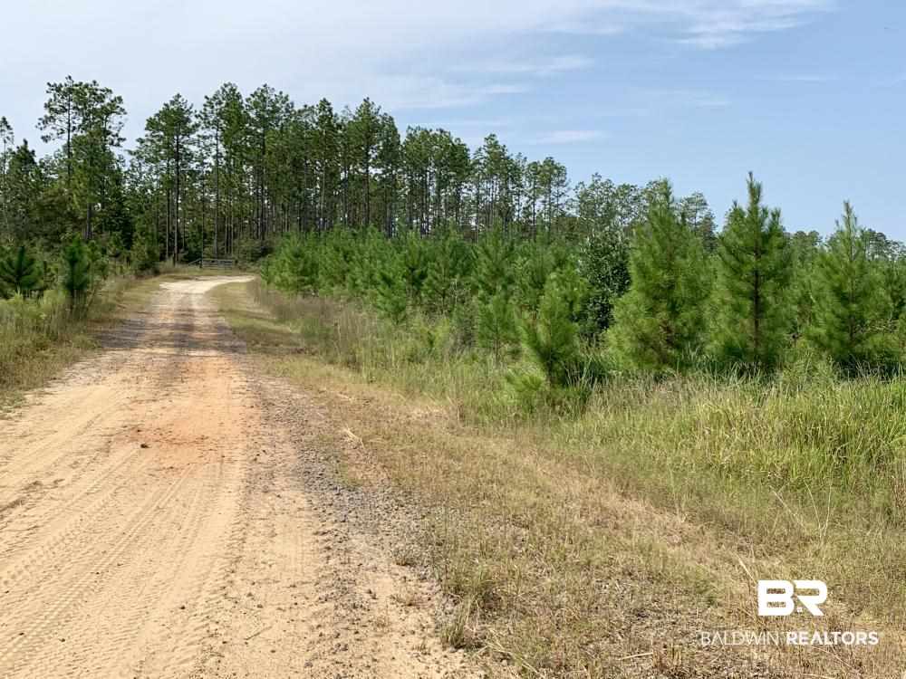 0 Country Road Mobile, AL 36608 - Photo 26 of 27
