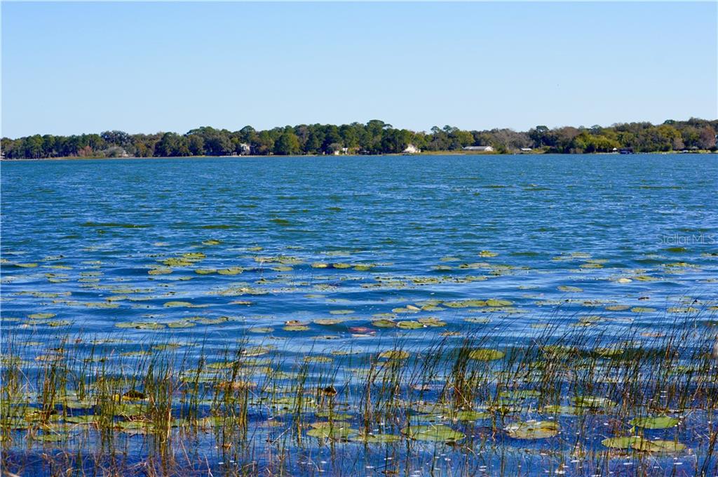 Abrams Road Eustis, FL 32726 - Photo 1 of 1 Gallery Image 1