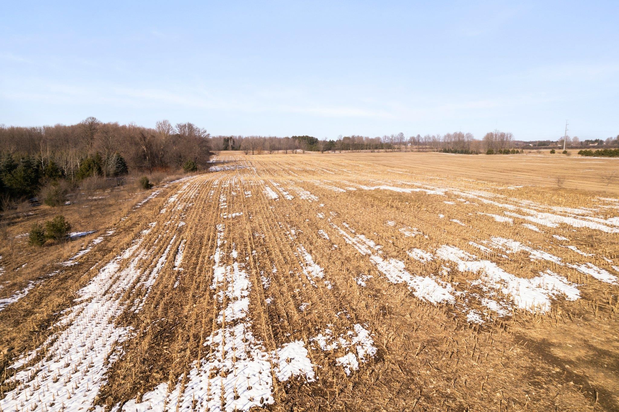0 Hamlin Road Grawn, MI 49637 - Photo 9 of 20