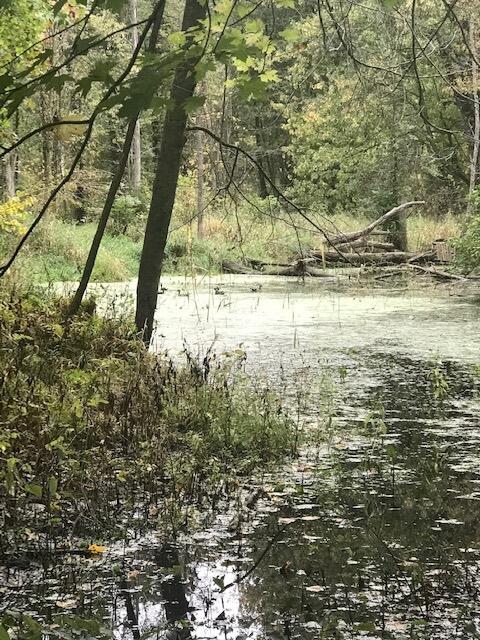 2255 River Road Hastings, MI 49058 - Photo 42 of 94