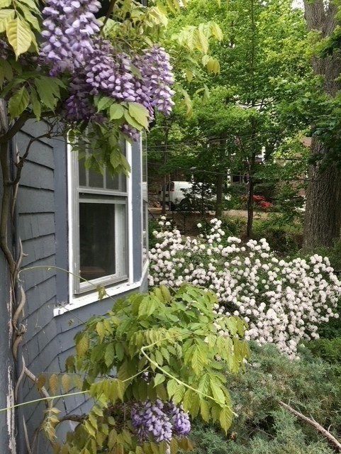 2 Mason Terrace Brookline, MA 02446 - Photo 28 of 38