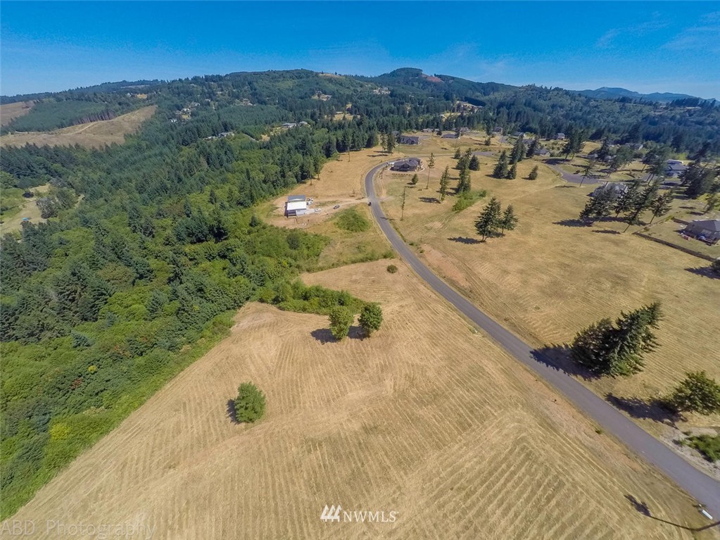 240 Aviator Road Woodland, WA 98674 - Photo 3 of 6 Gallery Image 3