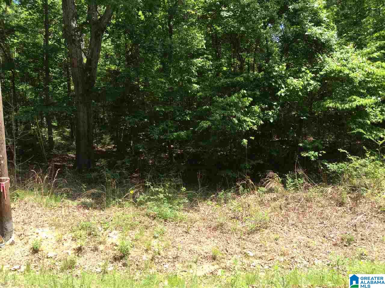 Hoyt Hill Road, Unit 1 Ashville, AL 35953 - Photo 6 of 13