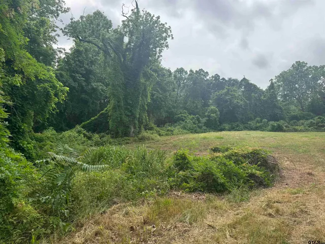 $36,600 | 510 West Martin Luther King Jr Boulevard, Tyler, TX 75702