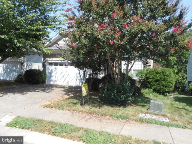 a front view of a house with a tree