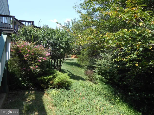 a view of a garden with plants