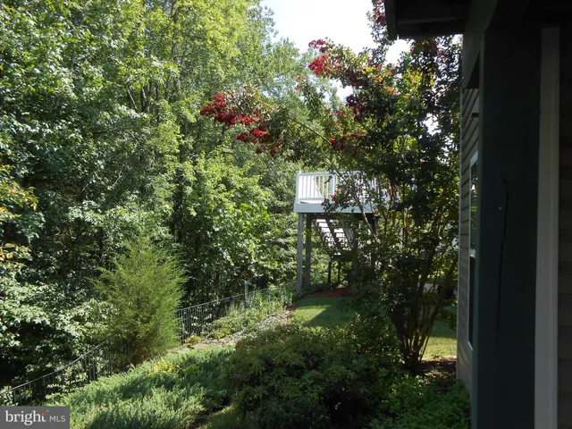 a view of a house with a tree