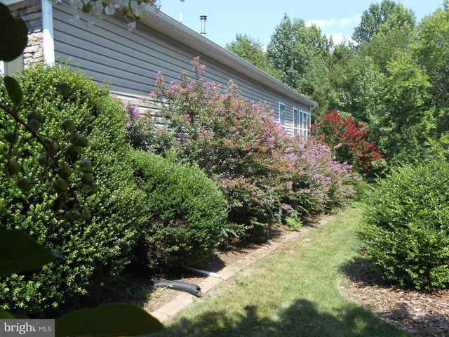 a view of bushes and pathway