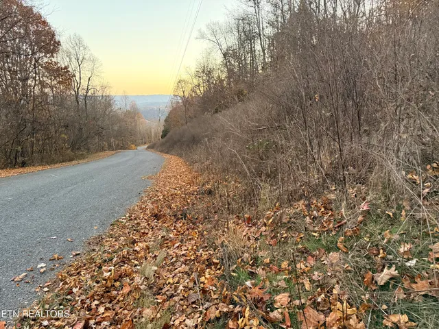 $25,000 | Lot 214 Clinch View Road, New Tazewell, TN 37825