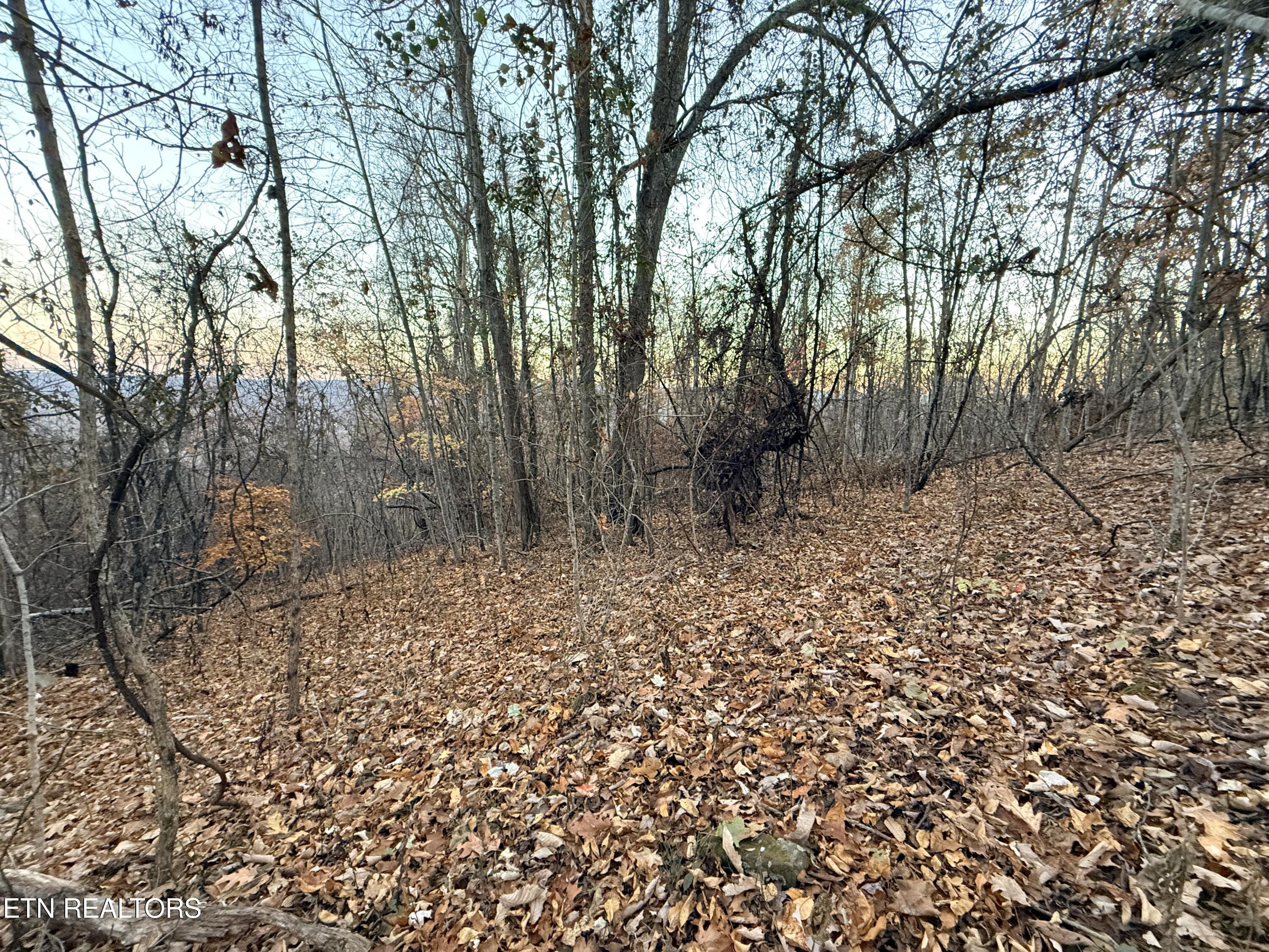 Lot 214 Clinch View Road New Tazewell, TN 37825 - Photo 11 of 47 Lot 214