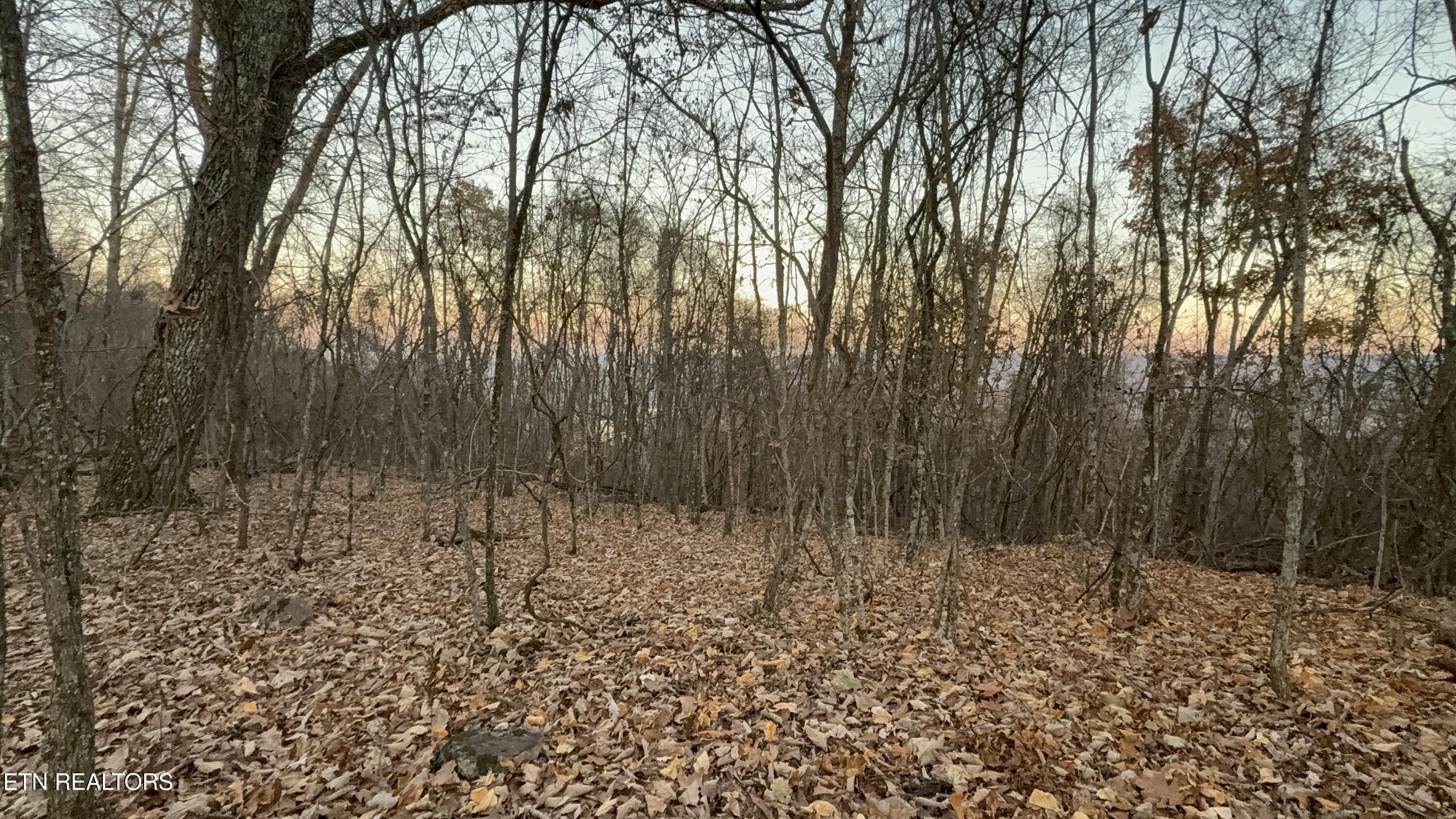 Lot 214 Clinch View Road New Tazewell, TN 37825 - Photo 12 of 47 Lot 214