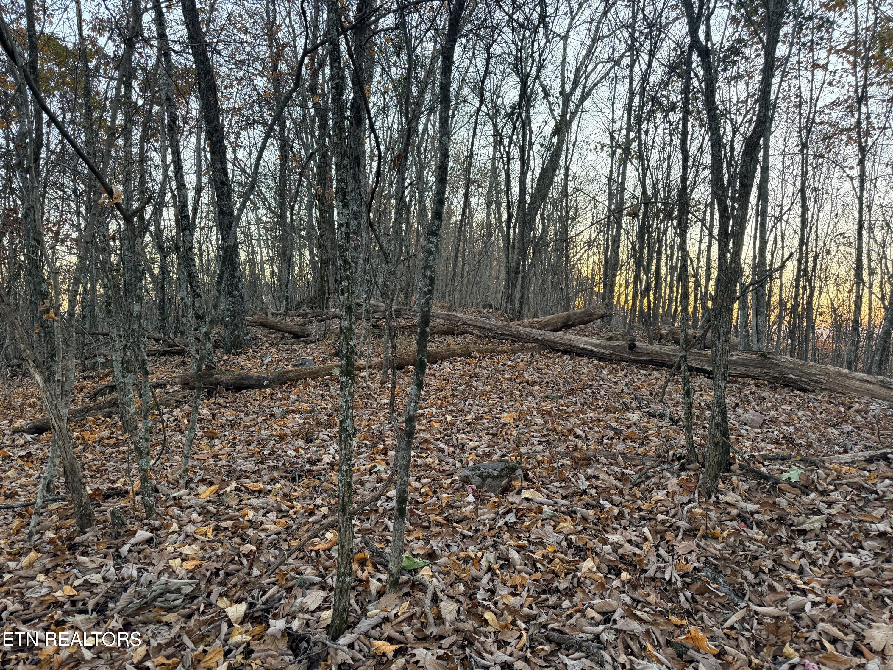 Lot 214 Clinch View Road New Tazewell, TN 37825 - Photo 17 of 47 Lot 214