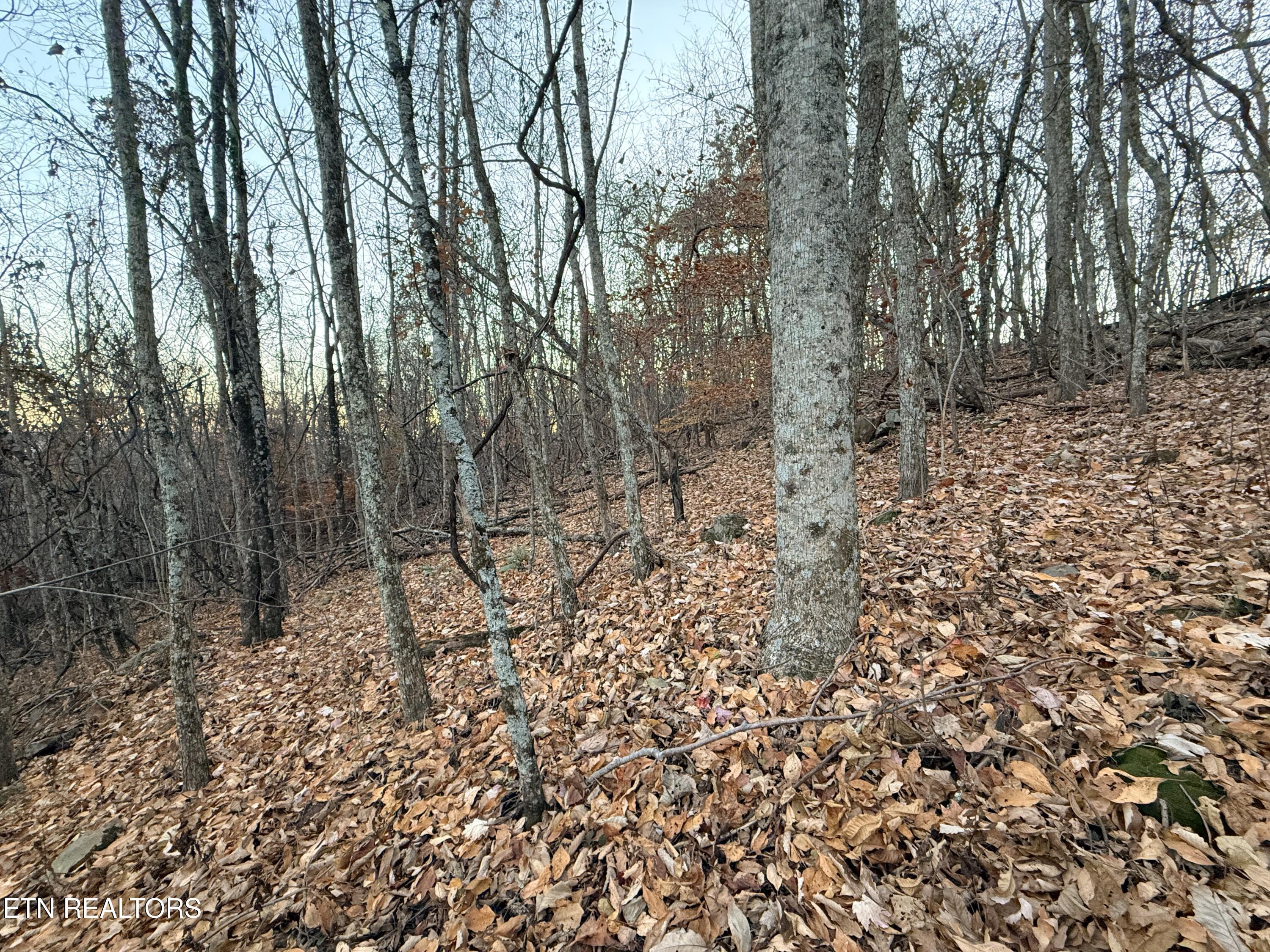 Lot 214 Clinch View Road New Tazewell, TN 37825 - Photo 18 of 47 Lot 214