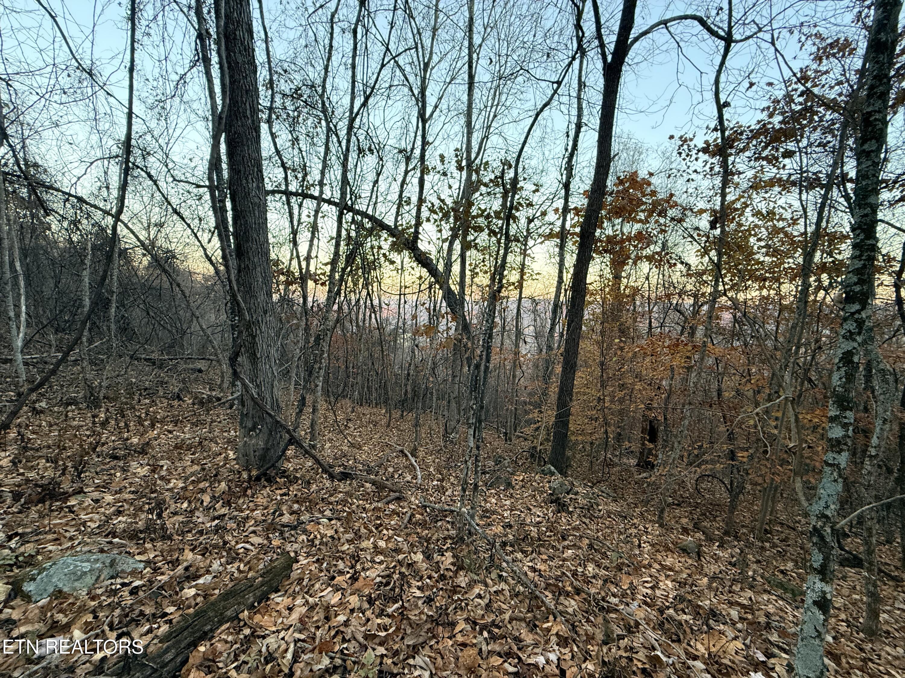 Lot 214 Clinch View Road New Tazewell, TN 37825 - Photo 19 of 47 Lot 214