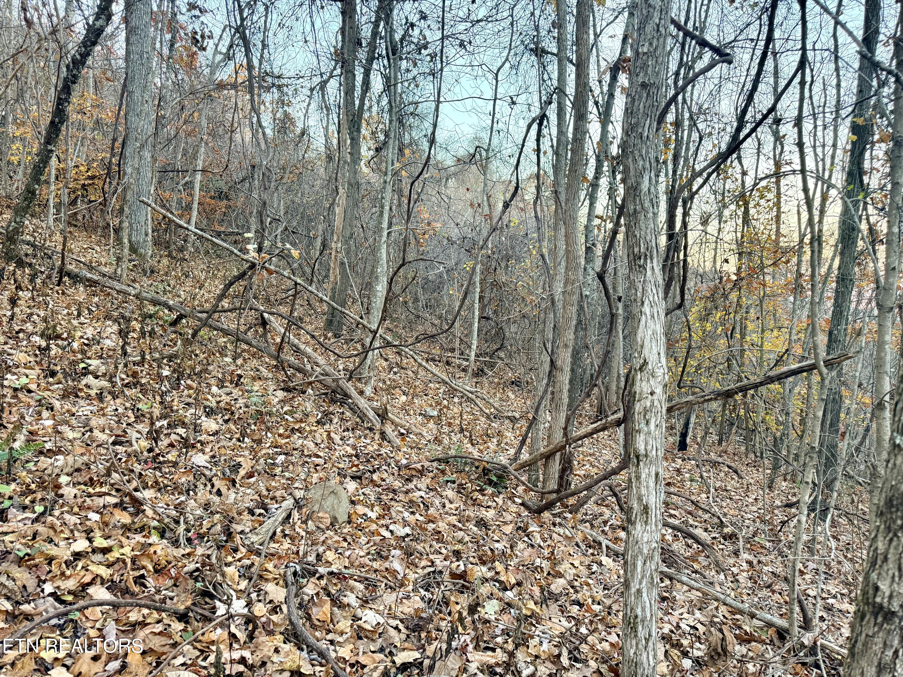 Lot 214 Clinch View Road New Tazewell, TN 37825 - Photo 24 of 47 Lot 214