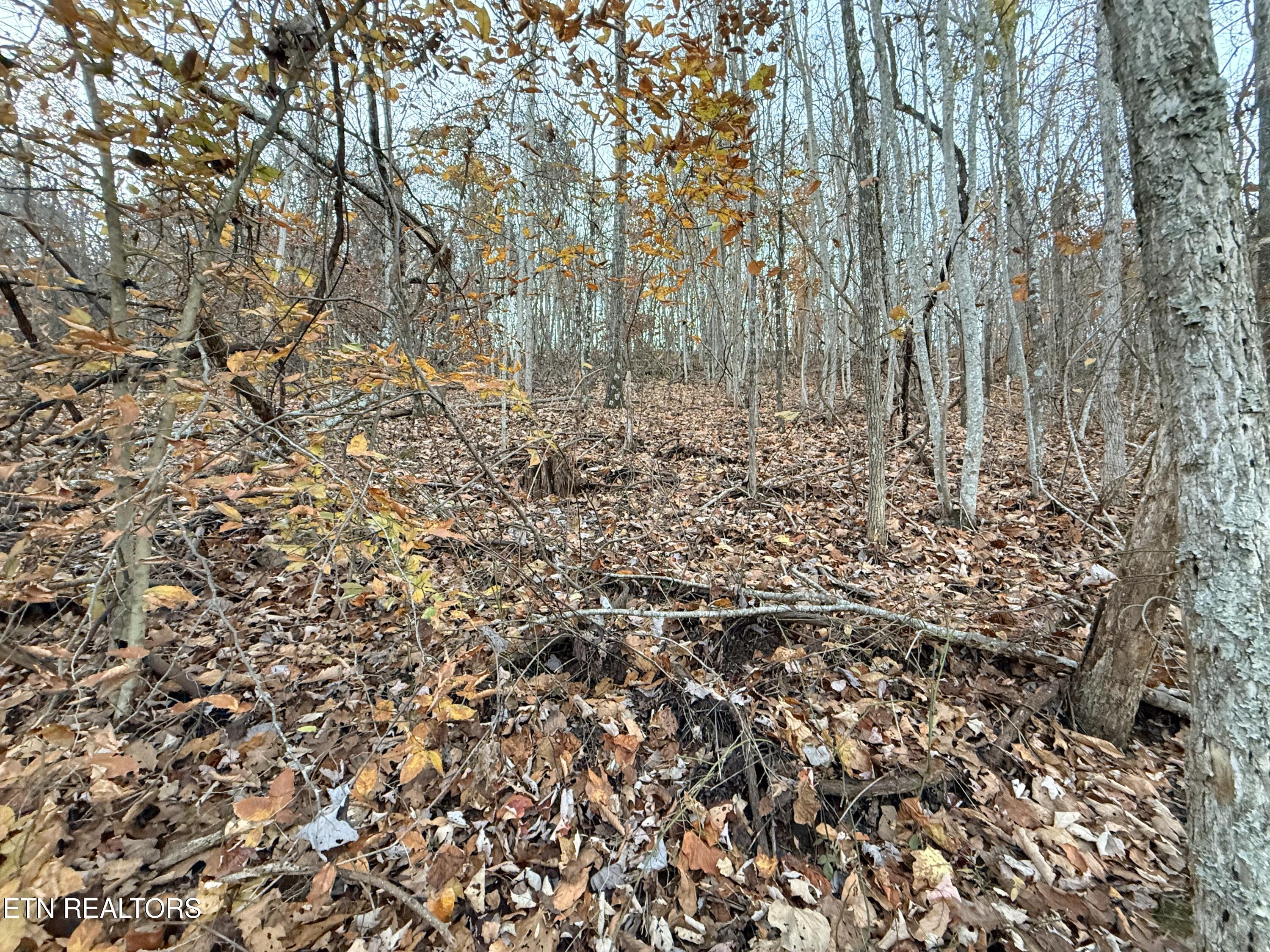 Lot 214 Clinch View Road New Tazewell, TN 37825 - Photo 25 of 47 Lot 214