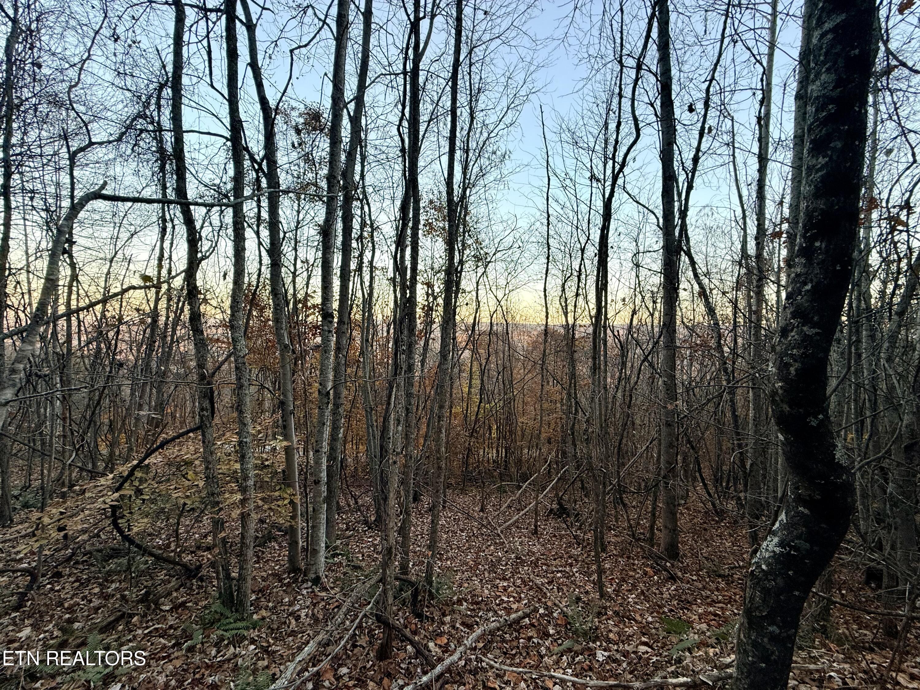 Lot 214 Clinch View Road New Tazewell, TN 37825 - Photo 31 of 47 Lot 214