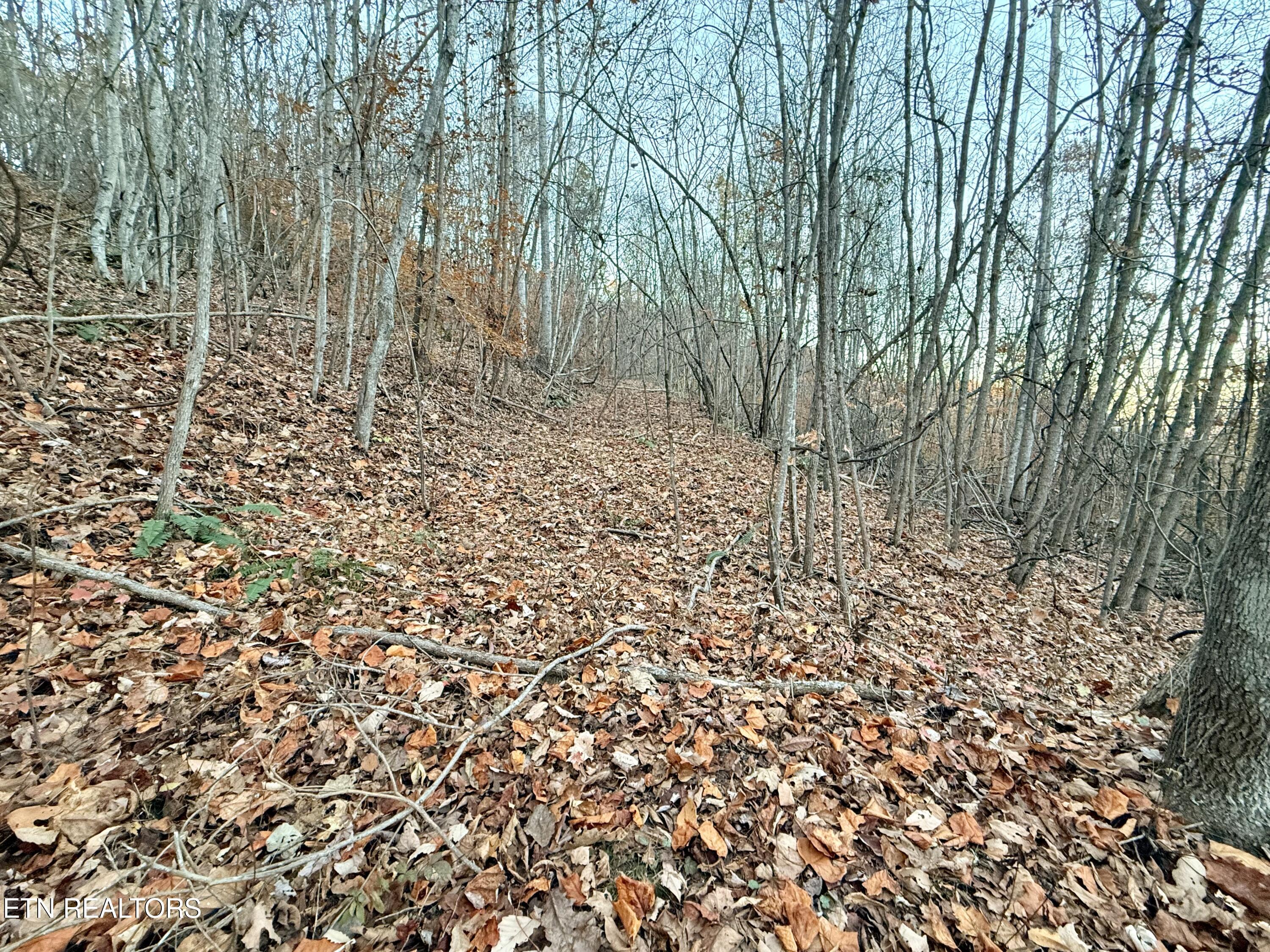 Lot 214 Clinch View Road New Tazewell, TN 37825 - Photo 32 of 47 Lot 214