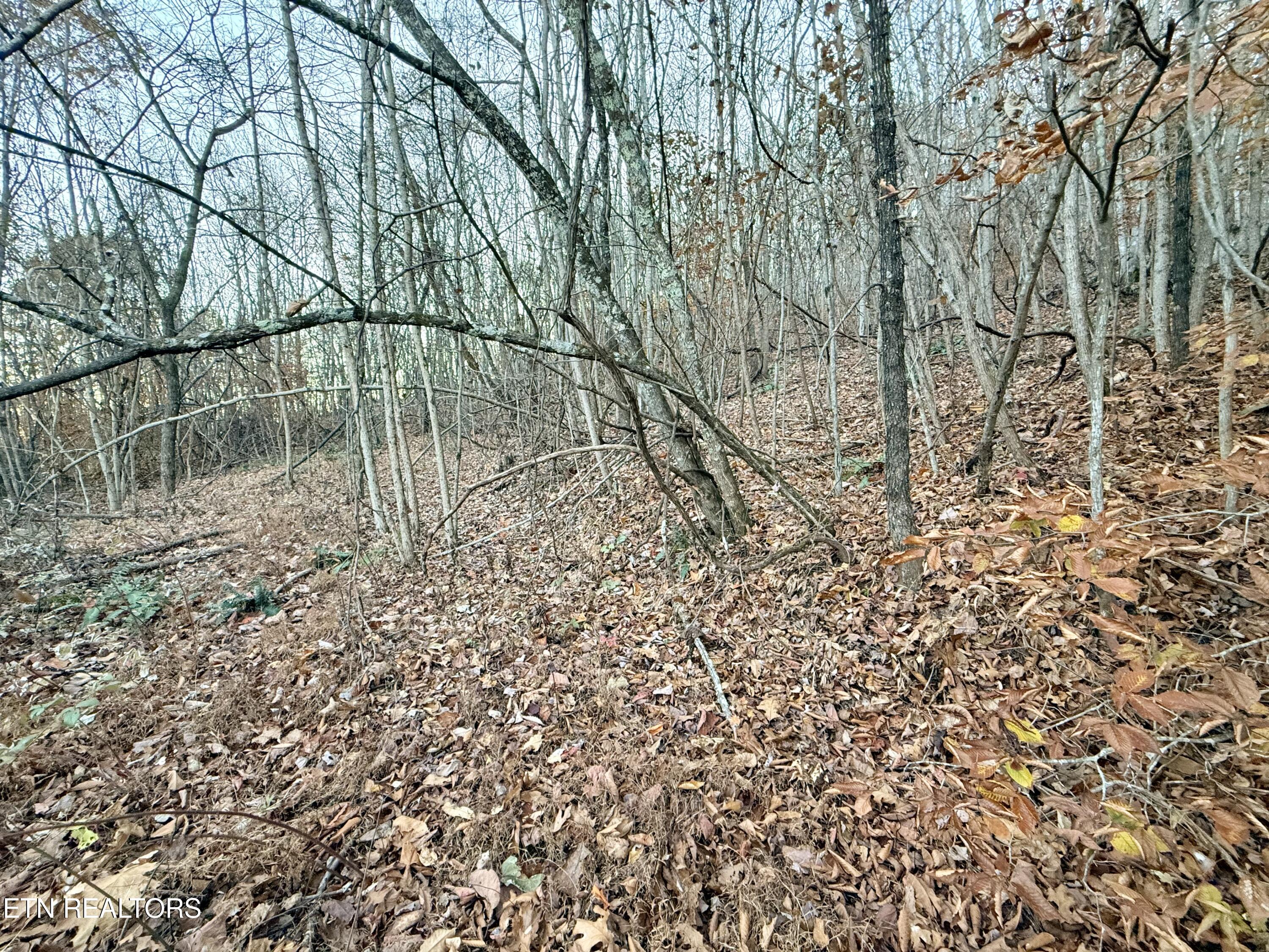Lot 214 Clinch View Road New Tazewell, TN 37825 - Photo 34 of 47 Lot 214