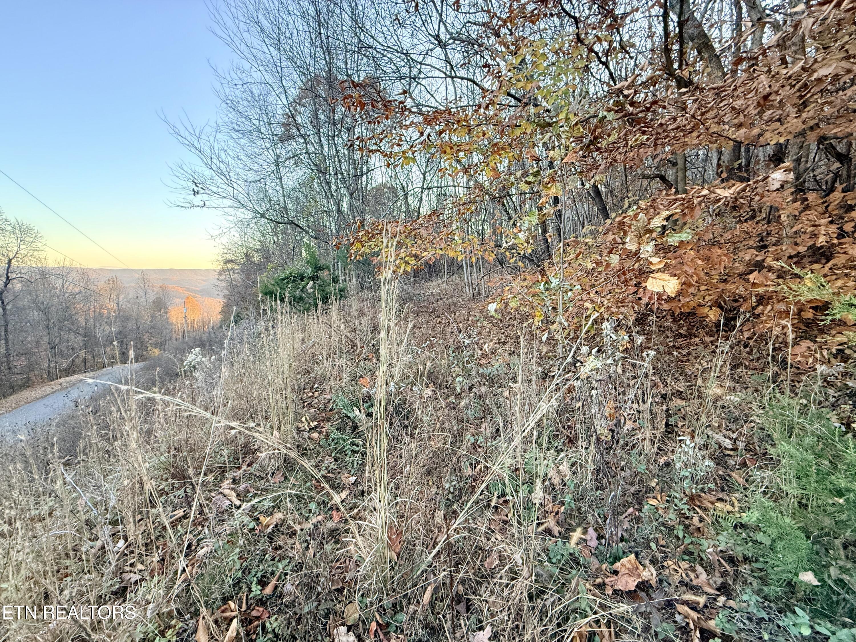 Lot 214 Clinch View Road New Tazewell, TN 37825 - Photo 35 of 47 Lot 214