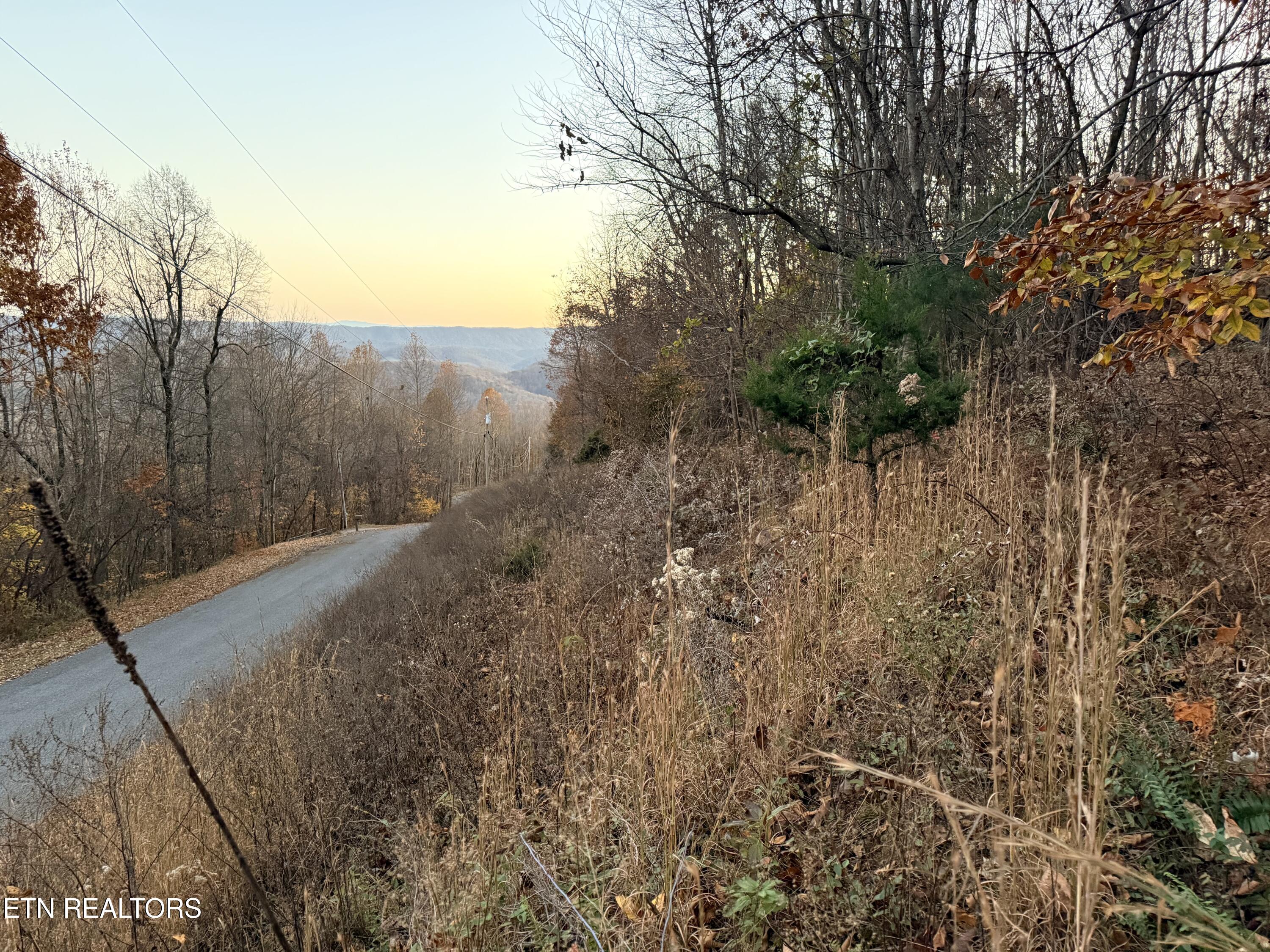 Lot 214 Clinch View Road New Tazewell, TN 37825 - Photo 4 of 47 Lot 214