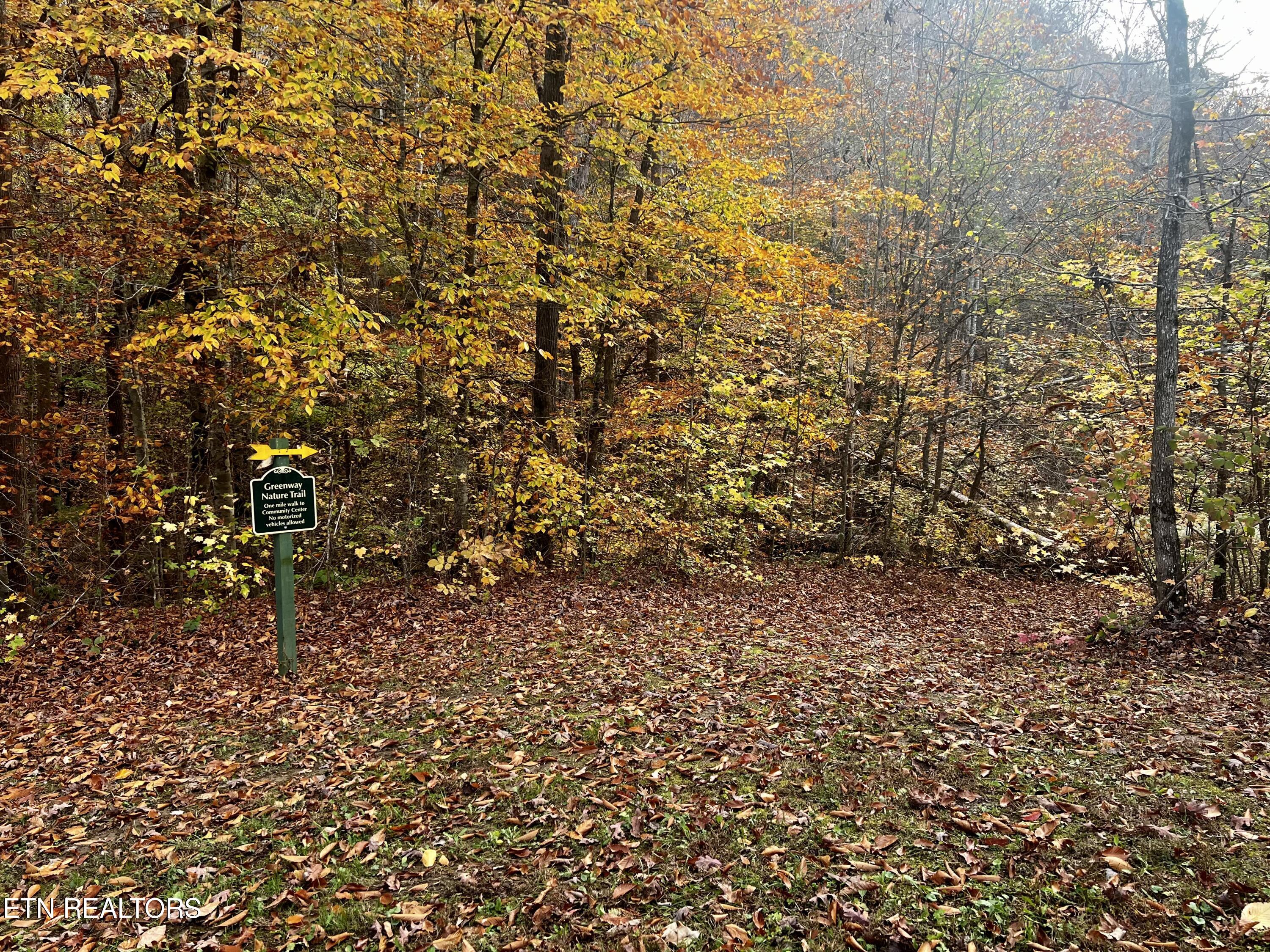 Lot 214 Clinch View Road New Tazewell, TN 37825 - Photo 41 of 47 Walking Trail