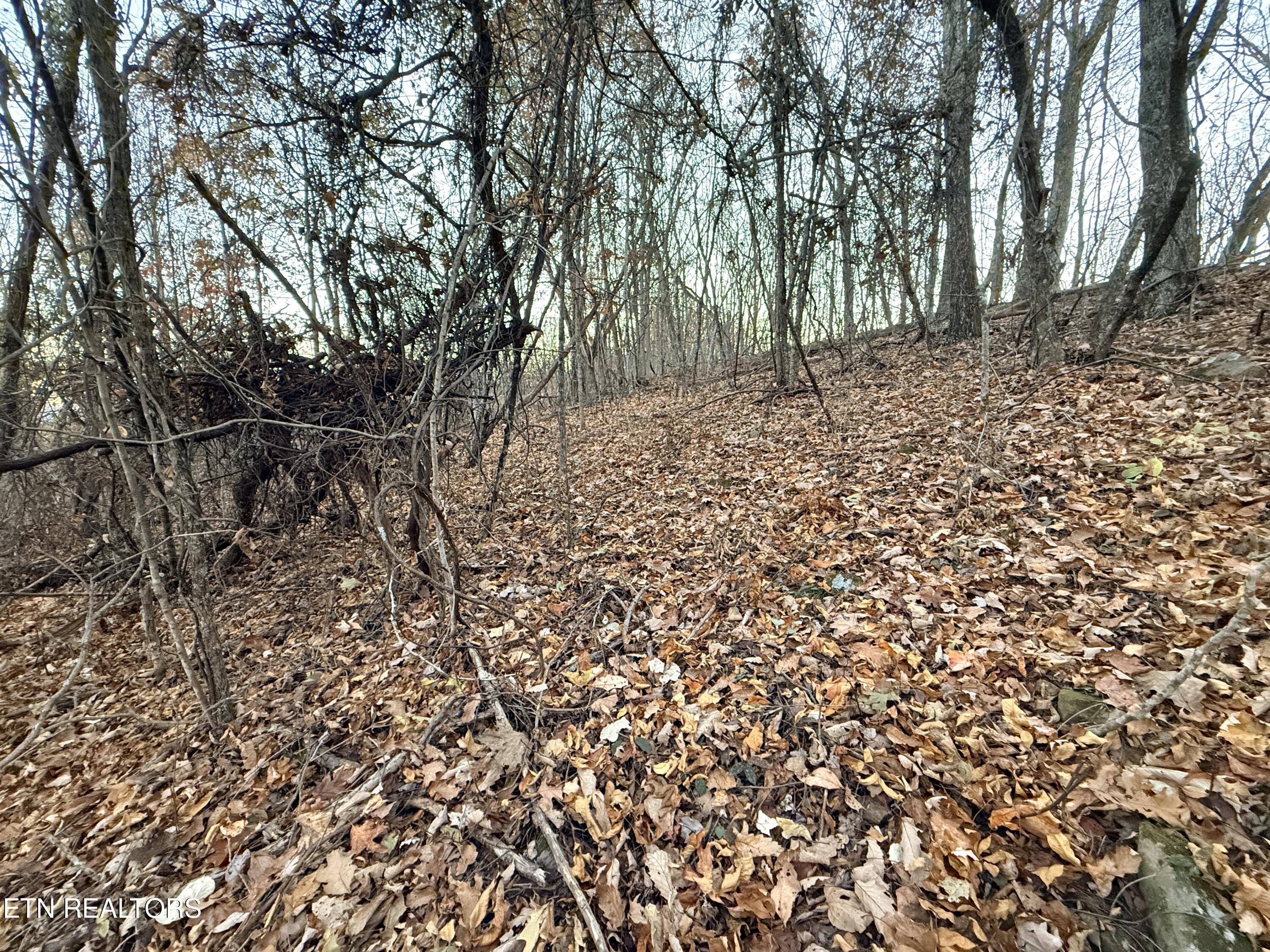 Lot 214 Clinch View Road New Tazewell, TN 37825 - Photo 10 of 47 Lot 214