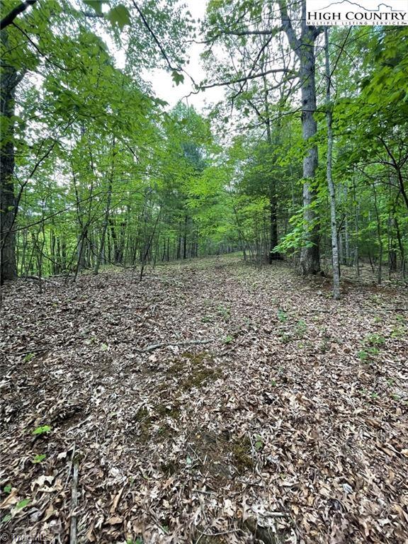 Tbd Tbd Edwin Blevins Road Lansing, NC 28643 - Photo 11 of 13