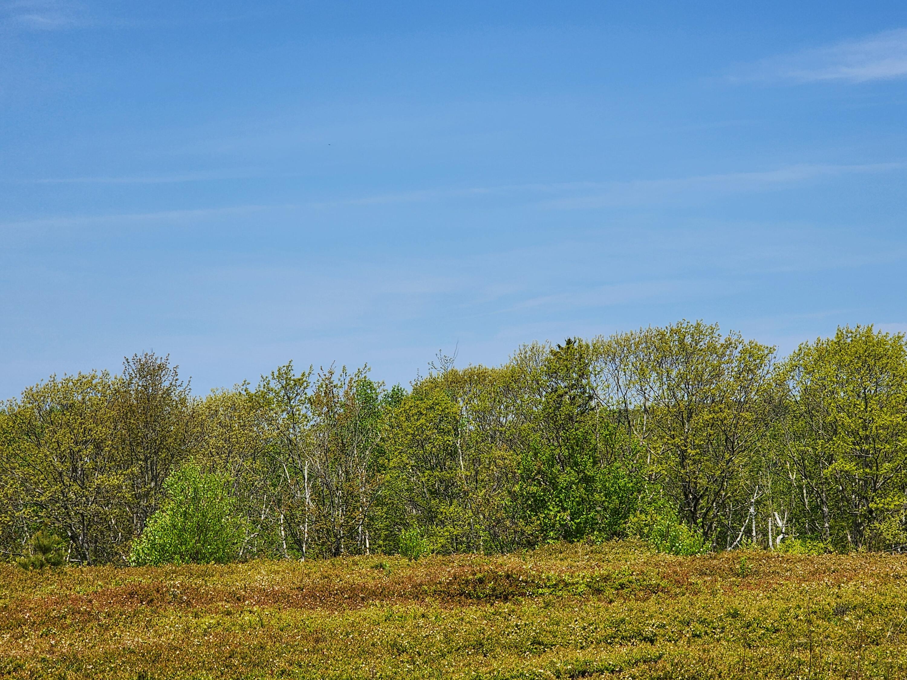 2 Whispering Berries Hill Liberty, ME 04949 - Photo 18 of 26 2024-05-21 10.53.37