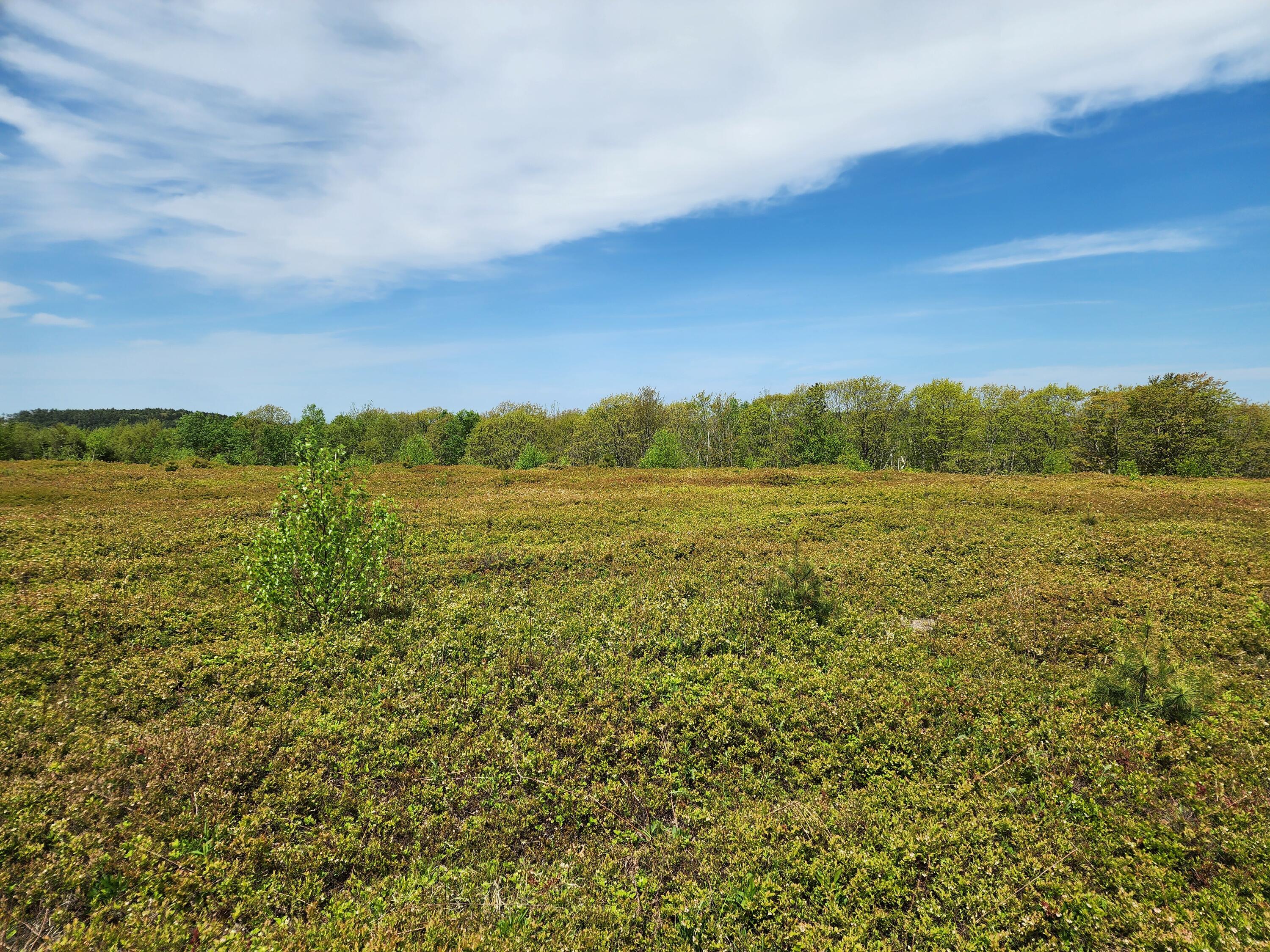 2 Whispering Berries Hill Liberty, ME 04949 - Photo 20 of 26 2024-05-21 10.53.41