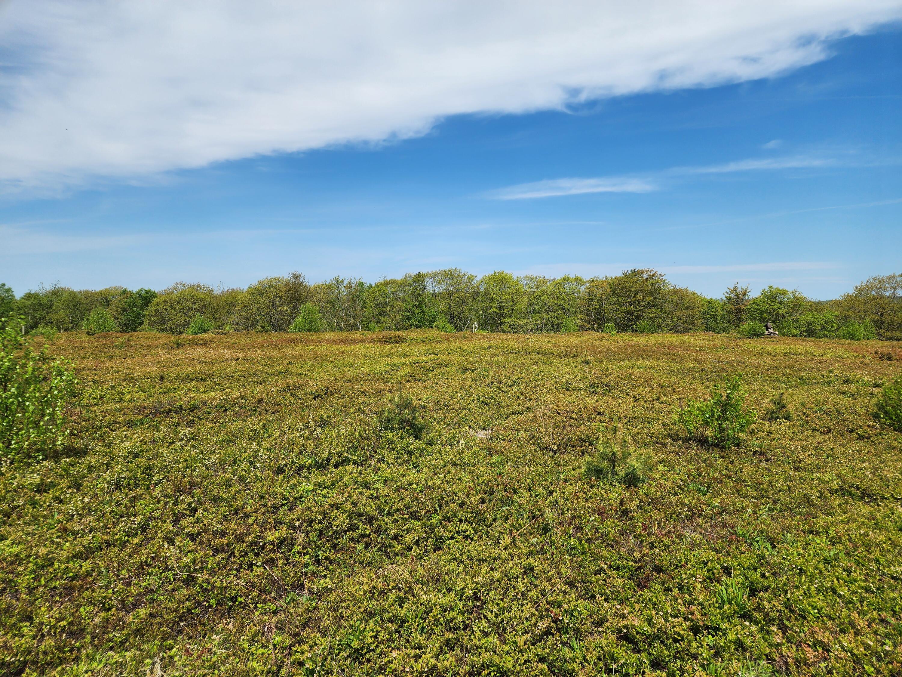 2 Whispering Berries Hill Liberty, ME 04949 - Photo 21 of 26 2024-05-21 10.53.42
