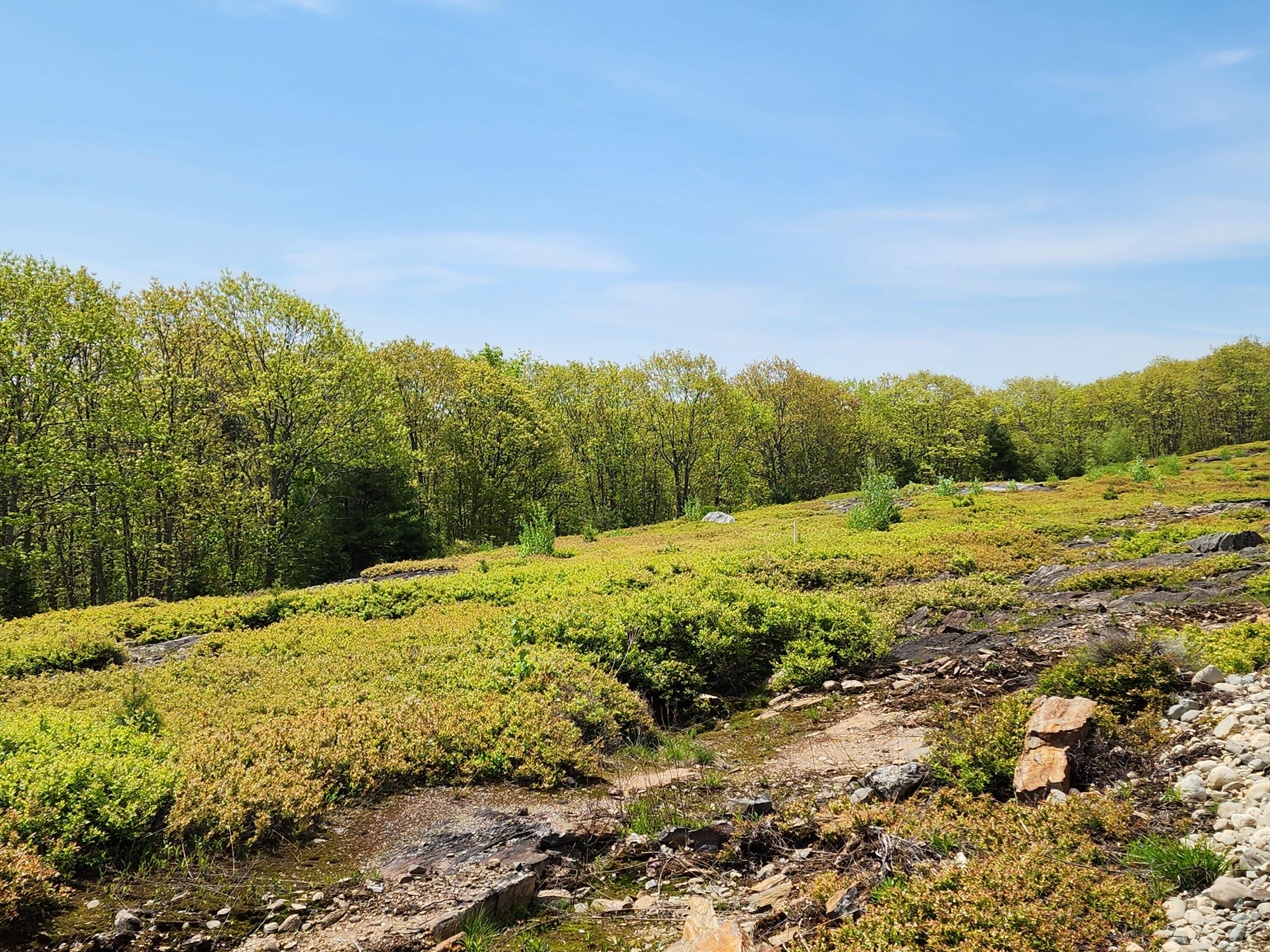2 Whispering Berries Hill Liberty, ME 04949 - Photo 3 of 26 2024-05-21 10.52.55