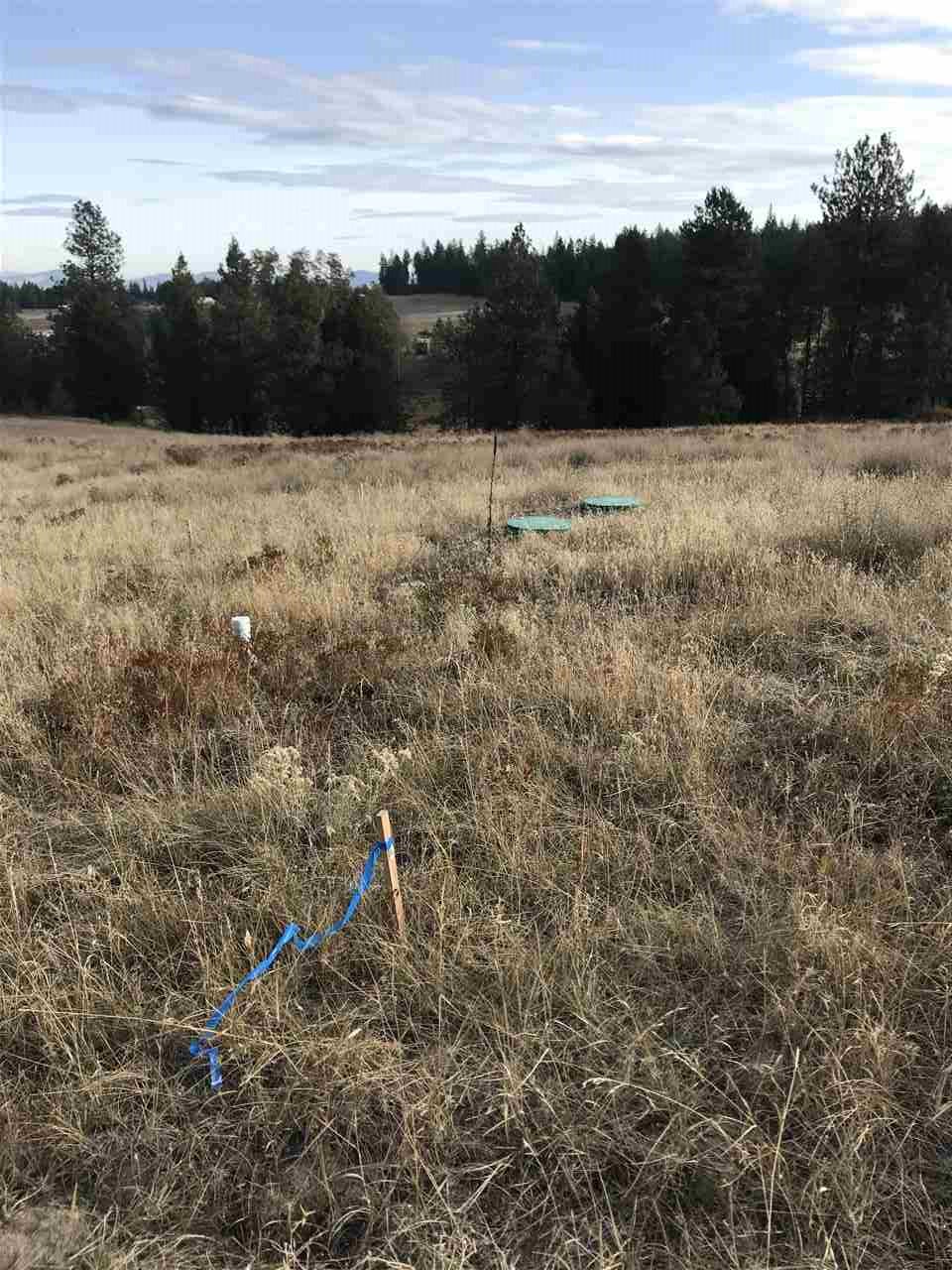 34002 North Dunn Road Chattaroy, WA 99003 - Photo 15 of 20 Gallery Image 15