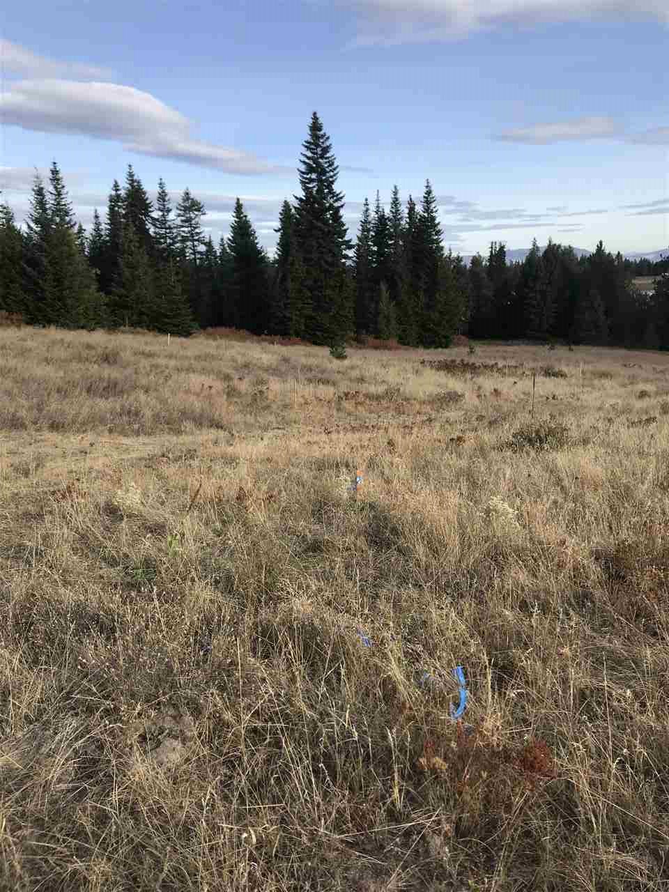 34002 North Dunn Road Chattaroy, WA 99003 - Photo 16 of 20 Gallery Image 16