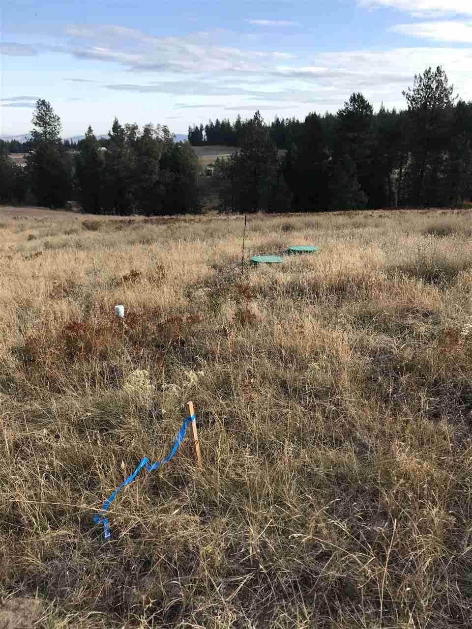 34002 North Dunn Road Chattaroy, WA 99003 - Photo 19 of 20 Gallery Image 19