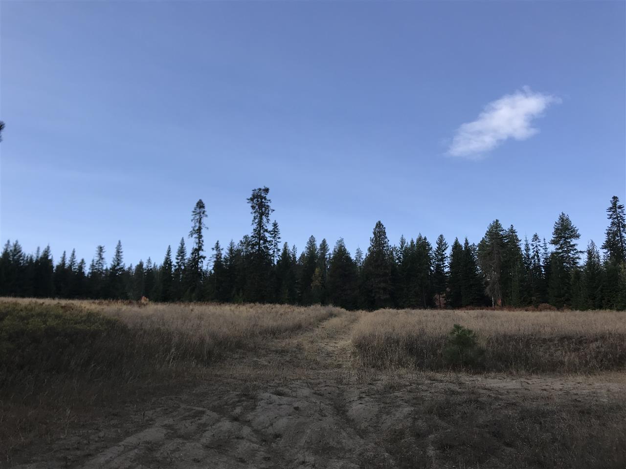 34002 North Dunn Road Chattaroy, WA 99003 - Photo 4 of 20 Gallery Image 4
