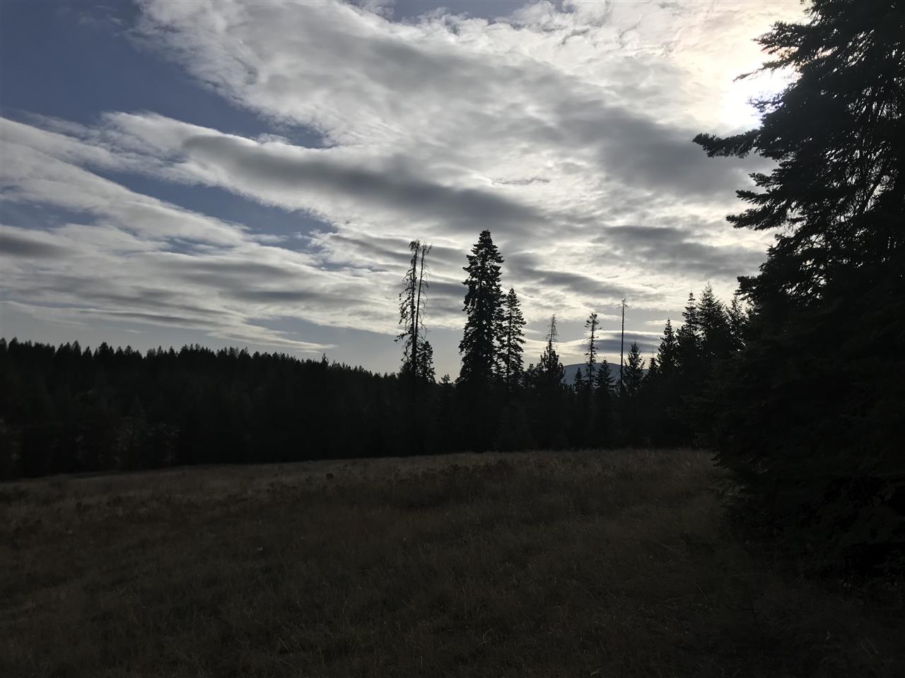 34002 North Dunn Road Chattaroy, WA 99003 - Photo 7 of 20 Gallery Image 7