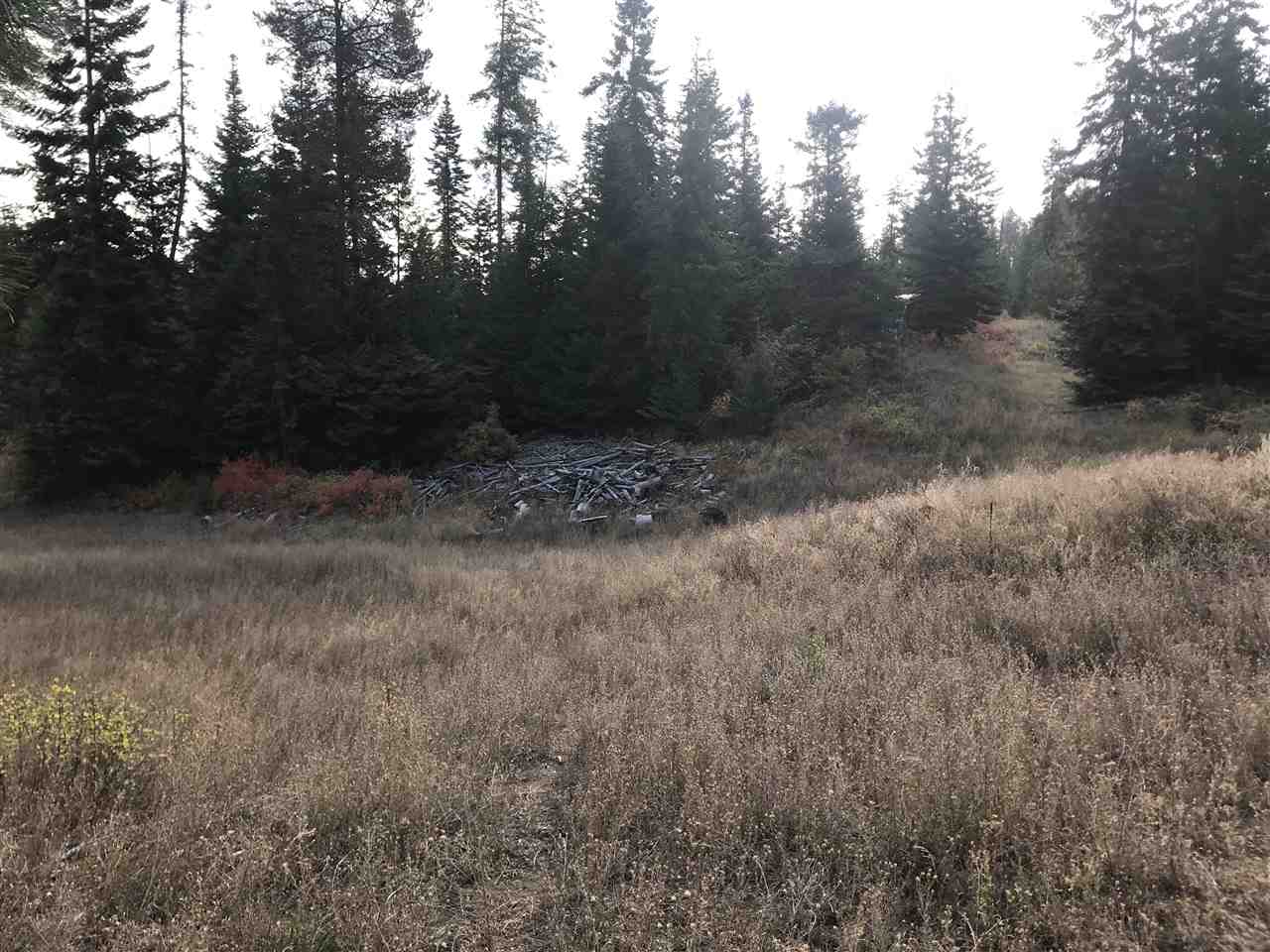 34002 North Dunn Road Chattaroy, WA 99003 - Photo 10 of 20 Gallery Image 10