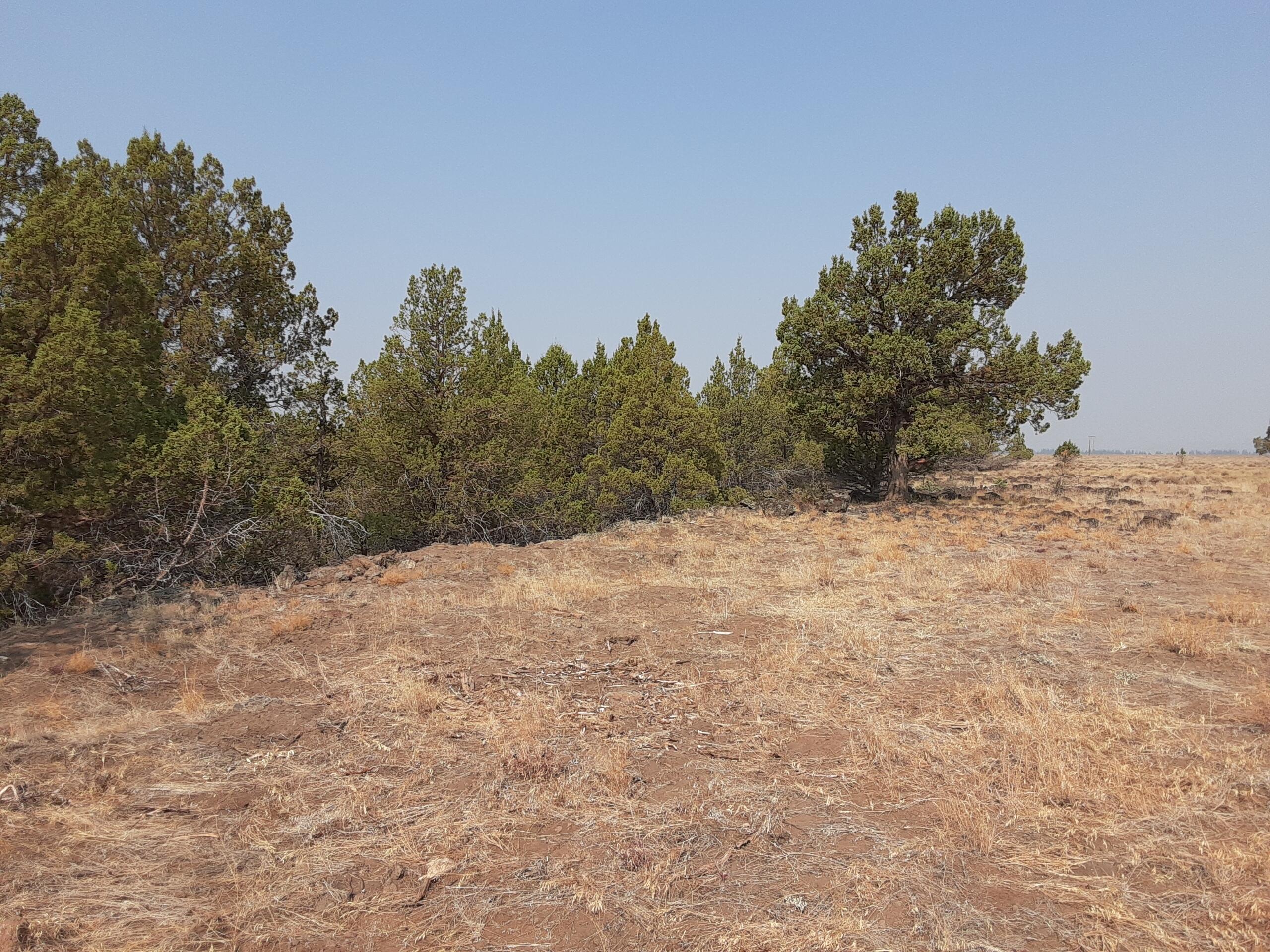 30442 Rim Drive Chiloquin, OR 97624 - Photo 8 of 10