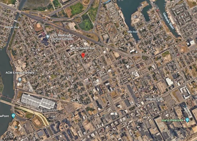 a close up of a plant with a plant