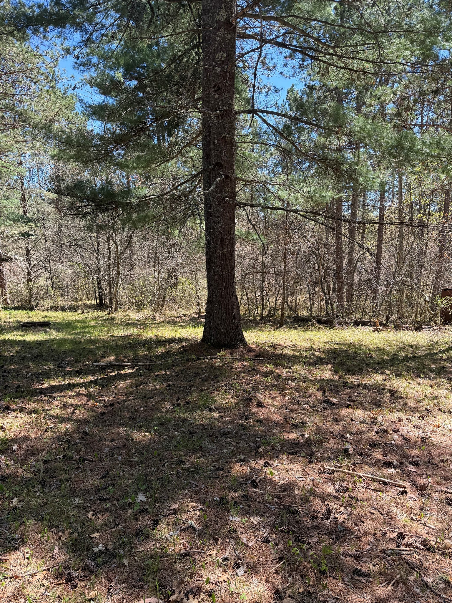 2395 Island Lake Road Barnes, WI 54873 - Photo 9 of 16