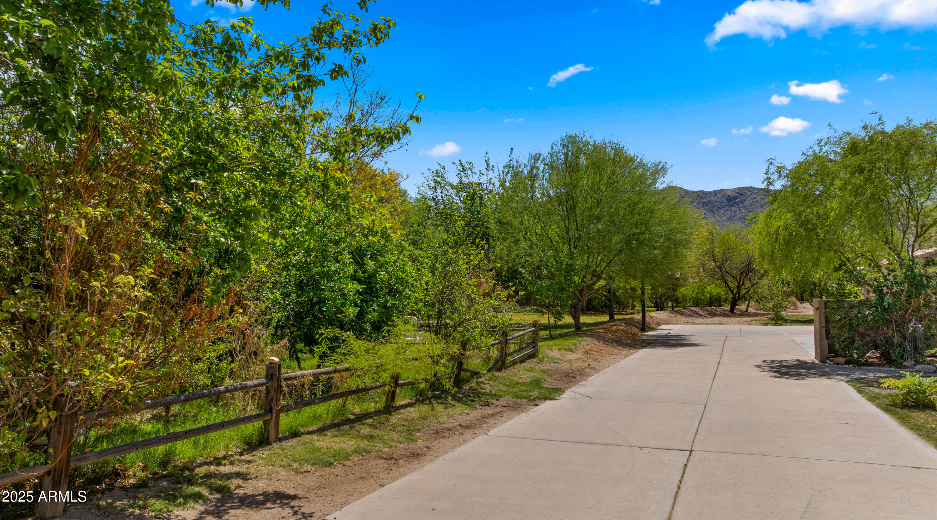 Driveway