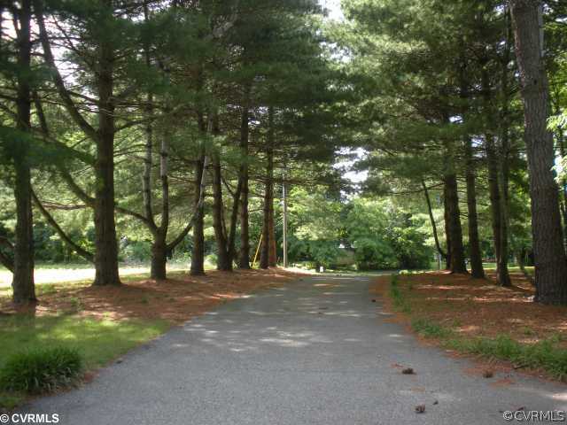 1821 Coggins Point Road Hopewell, VA 23860 - Photo 10 of 10 Parking Lot/Garage - Tree-lined paved driveway
