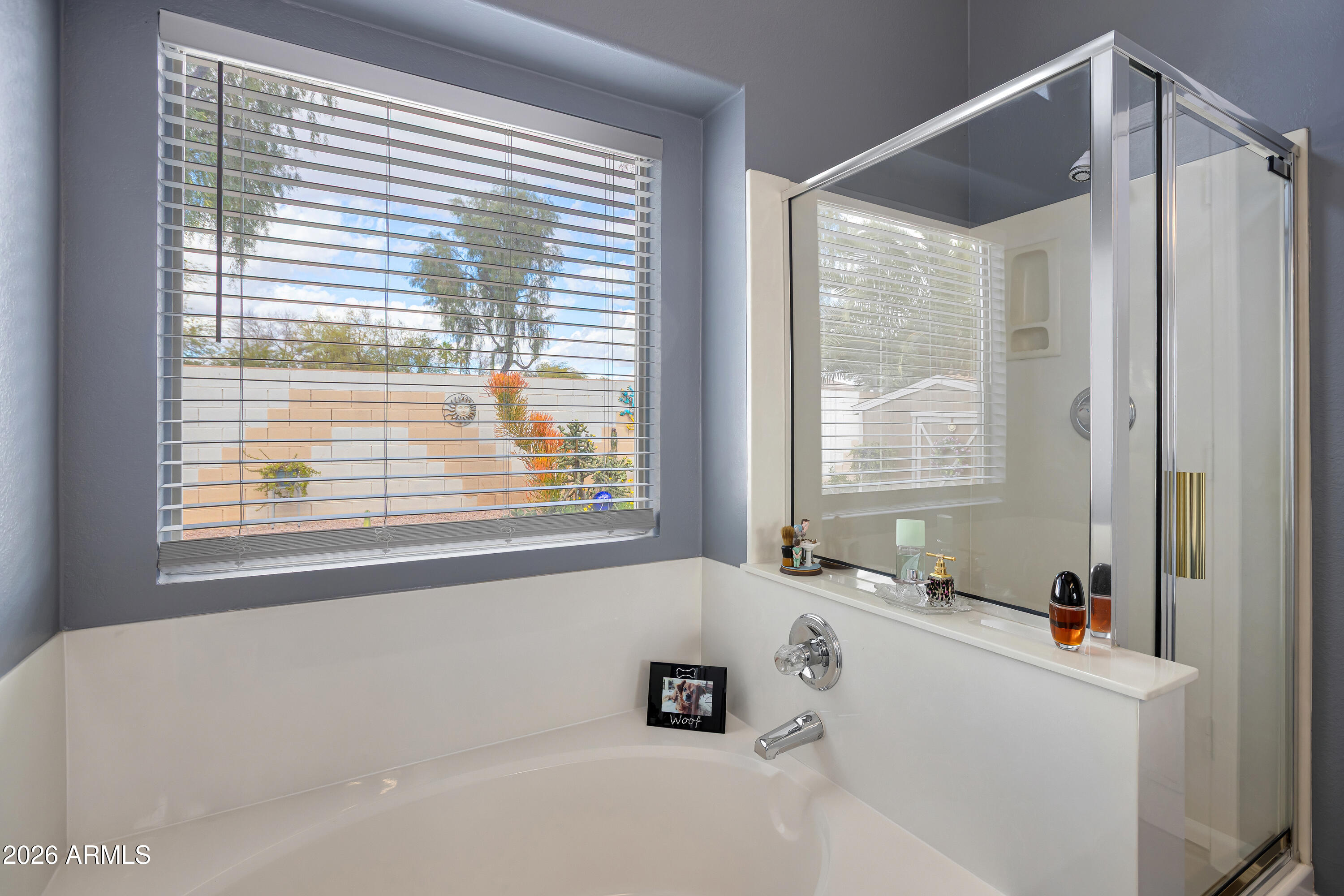 558 East Devon Drive Gilbert, AZ 85296 - Photo 27 of 42 a bath tub sitting in a bathroom next to a window