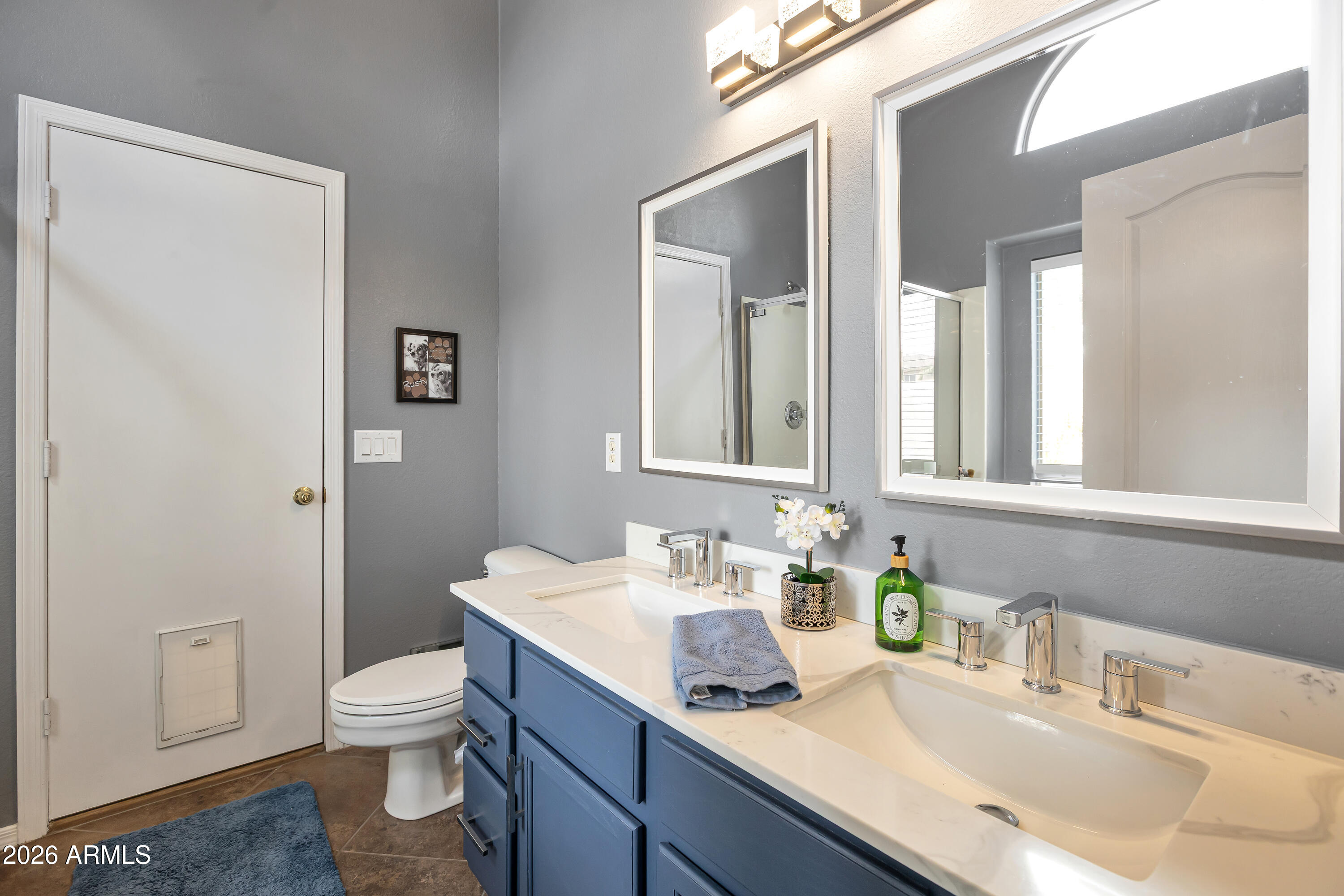 558 East Devon Drive Gilbert, AZ 85296 - Photo 29 of 42 a bathroom with a sink and a toilet