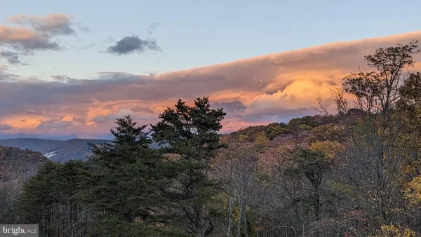 a living room with furniture a fireplace and a chandelier