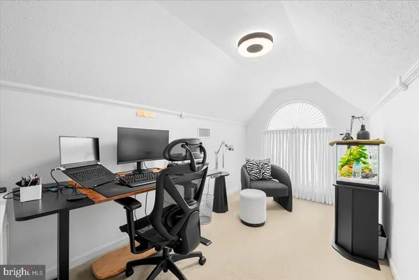 a view of a park with large trees