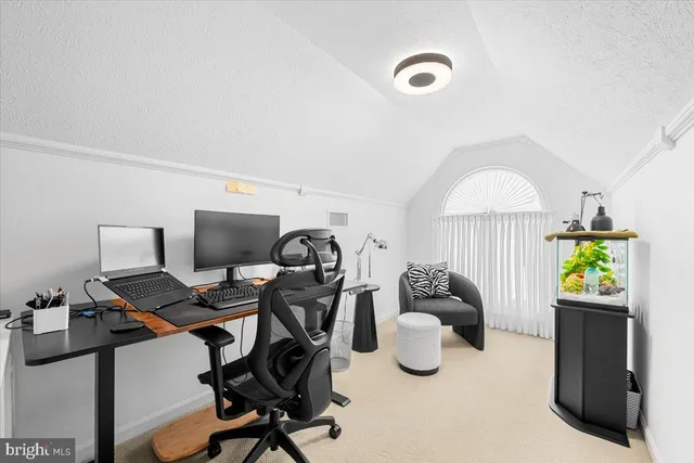 a view of a park with large trees