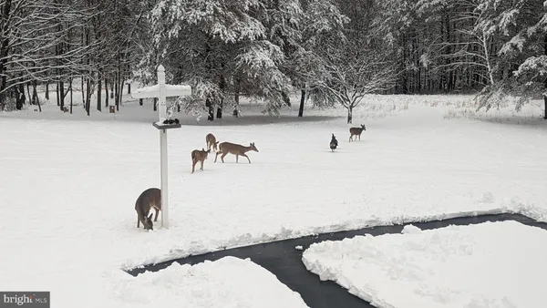 $875,000 | 887 Weires Avenue, La Vale, MD 21502