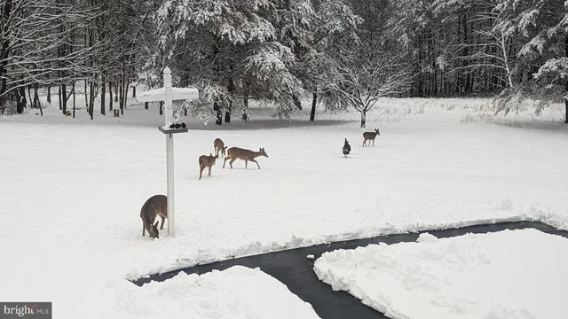 $875,000 | 887 Weires Avenue, La Vale, MD 21502